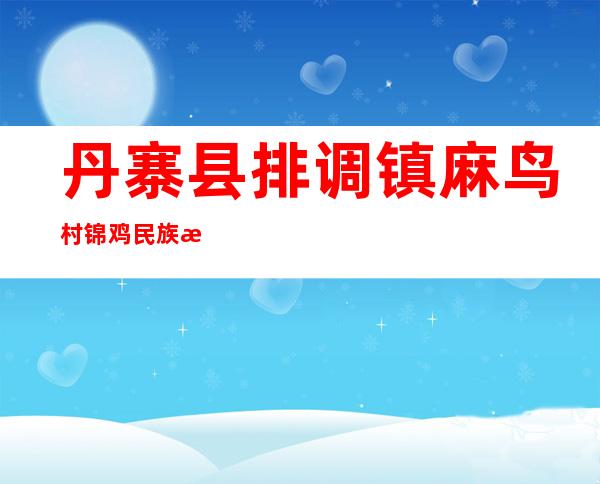 丹寨县排调镇麻鸟村锦鸡民族手工艺产业扶贫专业合作社